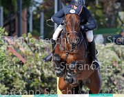 Paini Rosa Cocktail GioCav2013 S6 7684 : Campionati Italiani Giovani Cavalli, Cattolica, Paini Paolo, Rosa Cocktail, ph Stefano Secchi ©
